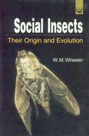 Social Insects Their Origin and Evaluation,8171412564,9788171412563