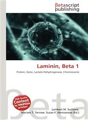 Laminin, Beta 1,6135394010,9786135394016