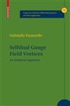 Selfdual Gauge Field Vortices An Analytical Approach,0817643109,9780817643102