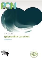 Splendrillia Larochei,6138587057,9786138587057