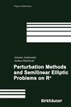 Perturbation Methods and Semilinear Elliptic Problems on R^n,3764373210,9783764373214