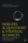 Mergers, Acquisitions and Strategic Alliances Understanding the Process,0230285368,9780230285361