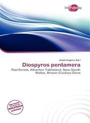 Diospyros pentamera,6135725033,9786135725032
