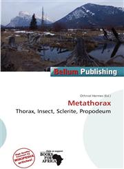 Metathorax,6138010698,9786138010692