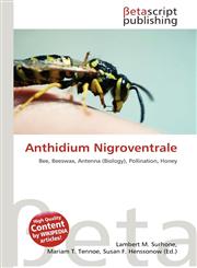 Anthidium Nigroventrale,6136096889,9786136096889