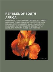 Reptiles of South Africa Common Flat Lizard, Boaedon capensis, Mole snake, Cape Dwarf Chameleon, Geometric tortoise,1233114247,9781233114245