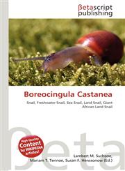 Boreocingula Castanea,6137628663,9786137628669
