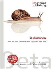 Assiminea,6136148757,9786136148755