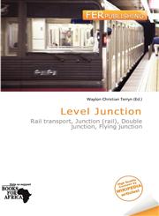 Level Junction,620048399X,9786200483997
