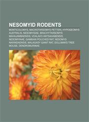 Nesomyid rodents Monticolomys, Macrotarsomys petteri, Hypogeomys australis, Nesomyidae, Brachytarsomys mahajambaensis, Voalavo antsahabensis,1156137438,9781156137437