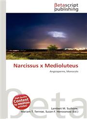 Narcissus x Medioluteus,6134460001,9786134460002