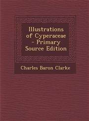 Illustrations of Cyperaceae - Primary Source Edition,1293643890,9781293643891