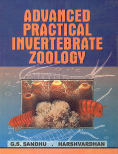 Advanced Practical Invertebrate Zoology 1st Edition,818030034X,9788180300349