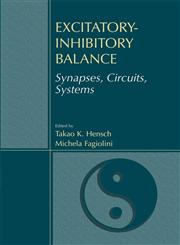 Excitatory-Inhibitory Balance Synapses, Circuits, Systems,0306479621,9780306479625