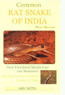 Common Rat Snake of India : Ptyas Mucosus Their Functional Morphology and Bionomics : Including Deadly Venomous Snakes of India 1st Published,8187067489,9788187067481
