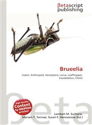 Brueelia,6137667774,9786137667774