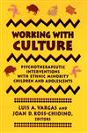 Working with Culture Psychotherapeutic Interventions with Ethnic Minority Children and Adolescents 1st Edition,1555424694,9781555424695